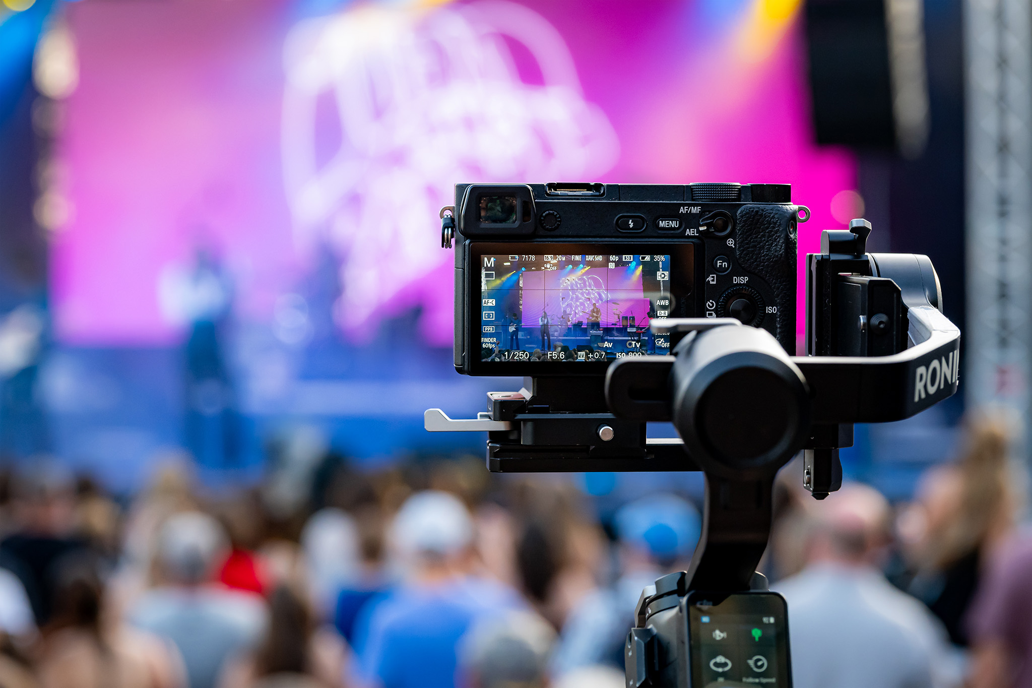 vizualis_alkoto (2).jpg